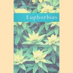 Euphorbias door Timothy Walker