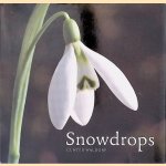 Snowdrops door Gunter Waldorf