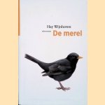 De merel door Hay Wijnhoven