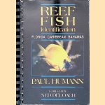 Reef Fish Identification: Florida, Caribbean, Bahamas
Paul Humann e.a.
&euro;&nbsp;10,00