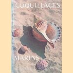 Coquillages marins: coquilles des principales ep&egrave;ces de gast&eacute;ropodes et de lamellibranches de la Manche, de l'oc&eacute;an Atlantique et de la M&eacute;diterran&eacute;e door J. Arrecgros