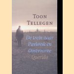 De trein naar Pavlovsk en Oostvoorne. Verhalen en een gedicht door Toon Tellegen