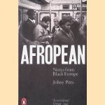 Afropean: Notes from Black Europe door Johny Pitts