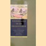 Nederland in de prehistorie door Leendert P.  - en anderen Louwe Kooijmans