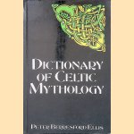 Dictionary of Celtic Mythology door Peter Berresford Ellis