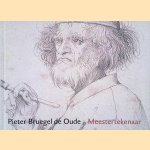 Pieter Bruegel de Oude, Meestertekenaar door Manfred Sellink