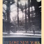 Lost New York door Nathan Silver