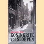 Koninkrijk vol sloppen: achterbuurten en vuil in de negentiende eeuw door Auke van der Woud