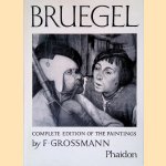 Bruegel: The Paintings: Complete Edition door F. Grossmann