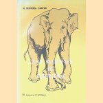 Land Mammals of Indonesia door W. Veevers