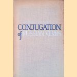 Conjugation of Russian Verbs door L. I. Pirogova e.a.