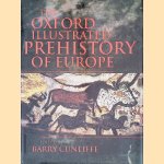 The Oxford Illustrated Prehistory of Europe door Barry Cunliffe
