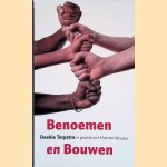Benoemen en bouwen: in gesprek met Maarten Meester door Doekle Terpstra