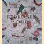Het bedrogen oog: de kunst van de trompe-l 'oeil door Nicolaas Matsier