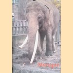 Murugan: een legendarische olifant door Piet Duizer e.a.