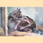 Wim Vaarzon Morel: aquarellen en tekeningen door Wim Vaarzon Morel