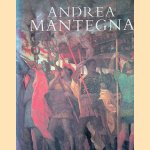Andrea Mantegna (English edition) door Jane Martineau