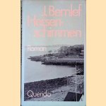 Hersenschimmen door J. Bernlef