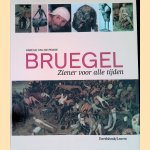 Bruegel: ziener voor alle tijden
Harold van de Perre
&euro;&nbsp;15,00