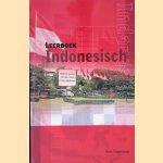 Leerboek Indonesisch + CD door Hein Steinhauer