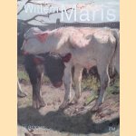 Willem Maris: impressionist van de Haagse School
Joost Bergman
€ 15,00 Willem Maris: impressionist van de Haagse School
Joost Bergman
€ 15,00