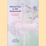 Natural gas in the Netherlands door Aad Correlj&eacute; e.a.