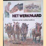 Het werkpaard door Wim Romijn