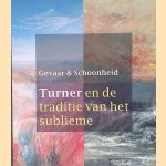 Gevaar en Schoonheid door Feico - en anderen Hoekstra