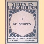 Steden en landschappen door Stan Leurs e.a.