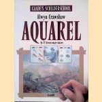 Gaade's schilderschool: aquarel in 32 lessen naar succes
Alwyn Crawshaw
€ 10,00 Gaade's schilderschool: aquarel in 32 lessen naar succes
Alwyn Crawshaw
€ 10,00