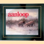 Aanloop door Rien Poortvliet