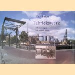 Fabriekswerk : industrieel erfgoed in de provincie Utrecht door Hans Buiter
