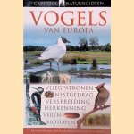 Capitool natuurgids vogels van Europa: Vliegpatronen, nestgedrag, verspreiding, herkenning, veren, biotopen
Rob Hume
€ 10,00 Capitool natuurgids vogels van Europa: Vliegpatronen, nestgedrag, verspreiding, herkenning, veren, biotopen
Rob Hume
€ 10,00