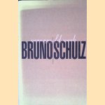 Bruno Schulz: Verzameld Werk
Bruno Schulz
&euro;&nbsp;35,00