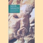 Russische roman door Meir Shalev