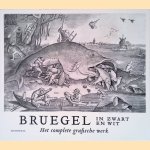 Bruegel in zwart en wit
Jan van der - en anderen Stock
&euro;&nbsp;15,00