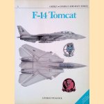F-14 Tomcat door Lindsay Peacock