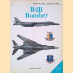 B-1B Bomber door Lindsay T. Peacock