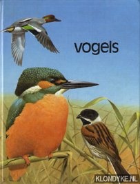 Briels, Jo - Vogels