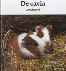 Hansen, Elvig - De cavia