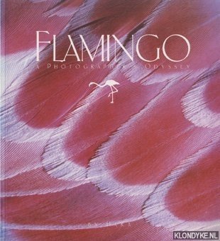 Hara - Flamingo: a photographer's odyssey