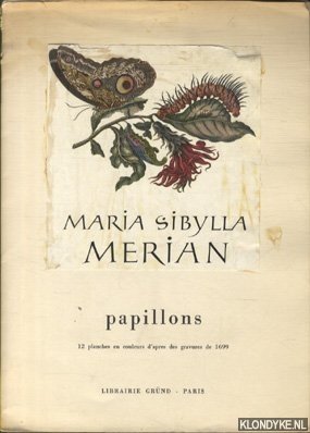 Merian, Maria Sibylla - Papillons. 12 planches en couleurs d'apres des gravures de 1699