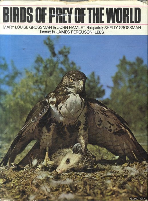 Grossman, M.J. & J. Hamlet - Birds of Prey of the World
