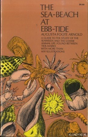 Arnold, Augusta Foote - The Sea-Beach at Ebb-Tide. A Guide to the Study of the Seaweeds and the Lower Animal Life Found Between Tidemarks