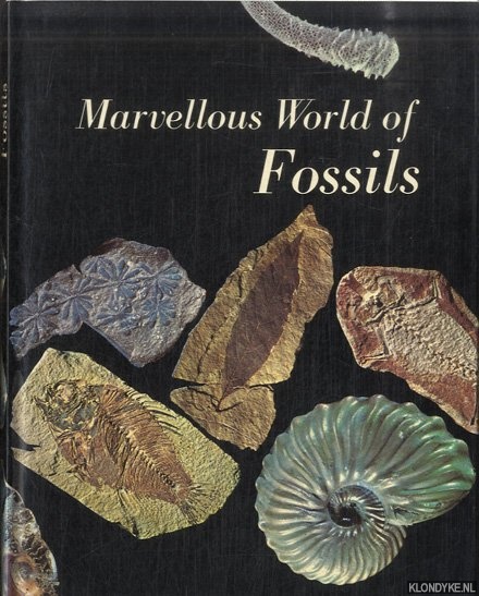 Pajaud, Daniel - Marvellous world of fossils
