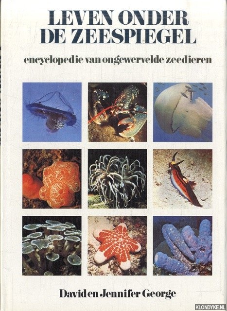George, David & Jennifer George - Leven onder de zeespiegel: encyclopedie van ongewervelde zeedieren