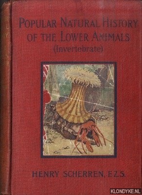 Scherren, Henry - Popular Natural History Of Lower Animals