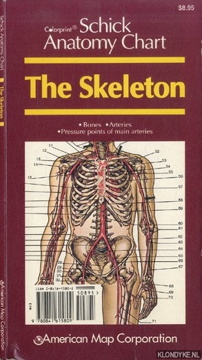 Various - Schick Anatomy Chart: The Skeleton: bones, arteries, pressure points of main arteries