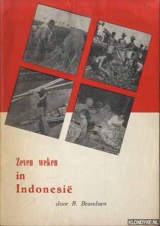 Brandsen, B. - Zeven weken in Indonesi. Wat wij er hoorden en zagen