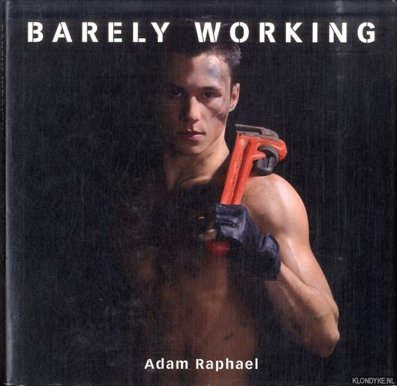 Raphael, Adam - Barely Working